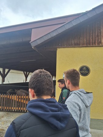 Bundesagrarkeis - Die Zukunft der Schweinehaltung
